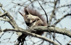 Killikus&reg; Fotographie